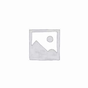 Bricklink Designer Program